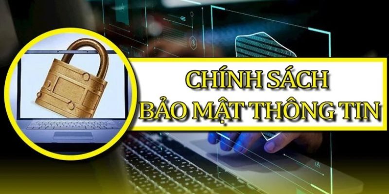 Giới thiệu chính sách 